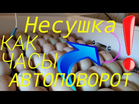 Видео: НЕСУШКА БИ-2 АВТОПОВОРОТ ЯИЦ НЕ РАБОТАЕТ ПРАВИЛЬНО! РЕШЕНИЕ ЕСТЬ!