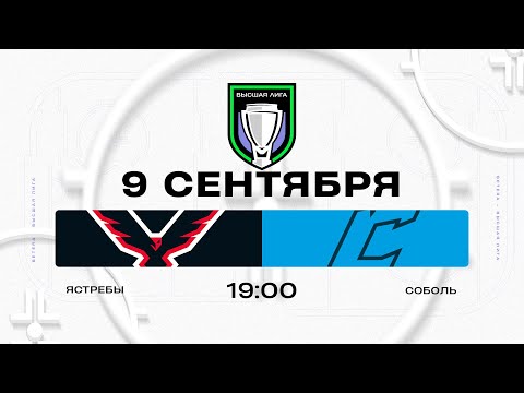 Видео: Ястребы - Соболь | 09.09.2025 | Высшая лига | Прямая трансляция