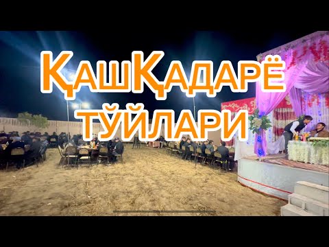 Видео: Қашқадарё тўйларидан бири.Муборак тумани