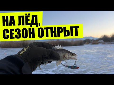 Видео: Первый лёд, озеро "Терновка", рыбалка близ Алматы, вместо форели ловим окушка.