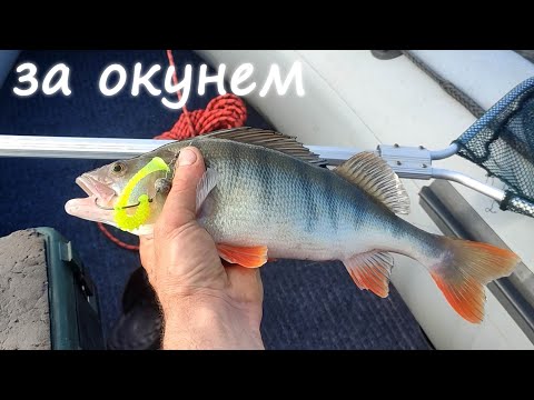 Видео: ВЫЕХАЛ ЗА ОКУНЕМ НА МОРЕ - СЕРГЕЕВСКОЕ