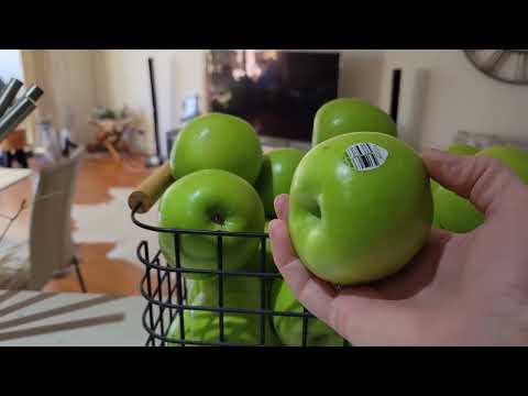 Видео: 🦜 ДИКИЙ ЛОРИКЕТ! НЕ ПОСТАНОВОЧНОЕ ВИДЕО!