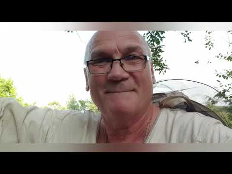 Видео: Паспорт пасеки. Нужен ли он?