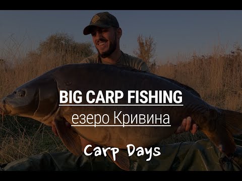 Видео: 5 рекордни шарана между 22 и 25 кг за 36 часа. Мечтан риболов на езеро Кривина с CarpDays