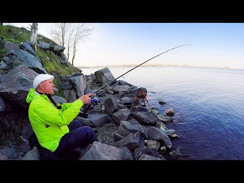 Видео: РЫБАЛКА НА ФИДЕР "ФАНАТИК" ВЕСНОЙ!