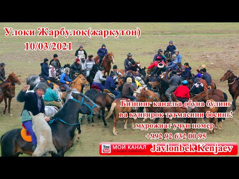 Видео: Улоки Жарбулок (жаркутон) 10.03.2021