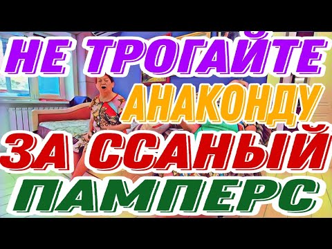 Видео: Самвел Адамян с Надей один договор,а у бабки с Надей другой.Бабка, завидуй молча!Наглюка поганая.