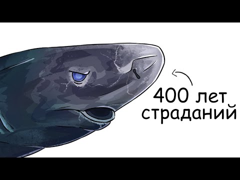 Видео: Ты – Гренландская Акула (И ЭТО ВСЯ ТВОЯ ЖИЗНЬ)