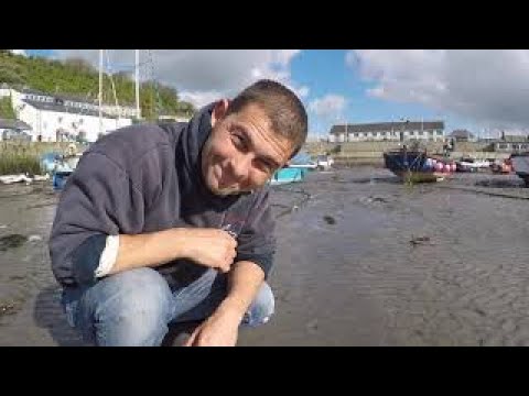 Видео: Поиск гусениц — как копать гусениц и наживку для них