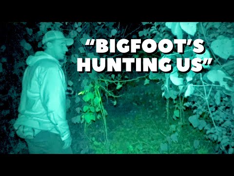 Видео: Мы нашли охотничью засидку, построенную Бигфутом