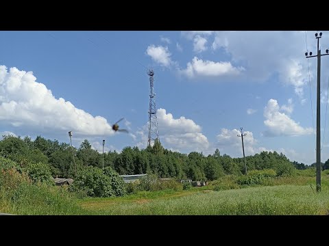 Видео: Пейзажи с опор сотовой связи. 
