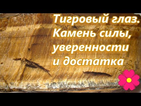 Видео: Тигровый глаз.  Камень силы, уверенности и достатка