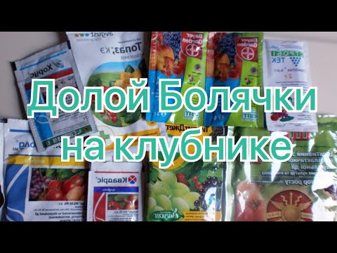 Видео: 09/21Чем обработать Клубнику от болезней Весной? Препараты. Дозировки.