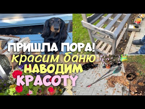 Видео: ПРИШЛА ПОРА! КРАСИМ БАНЮ! НАВОДИМ КРАСОТУ НА УЧАСТКЕ 🍂