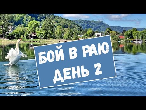 Видео: Белые лебеди. Схватка, часть 2. На воде.