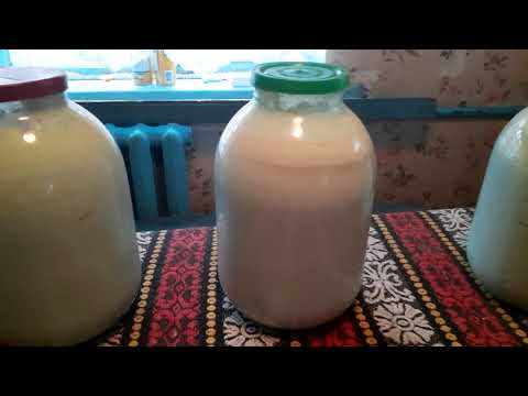 Видео: Как я готовлю пластовой творог.