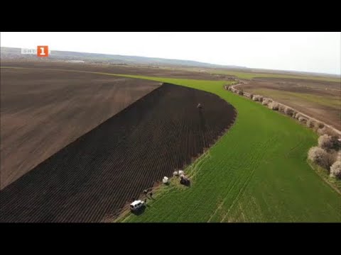 Видео: Как да се възроди производството на лук и картофи у нас, Бразди - 18.09.2021 по БНТ