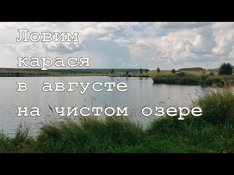 Видео: Ловим карася в августе на чистом озере