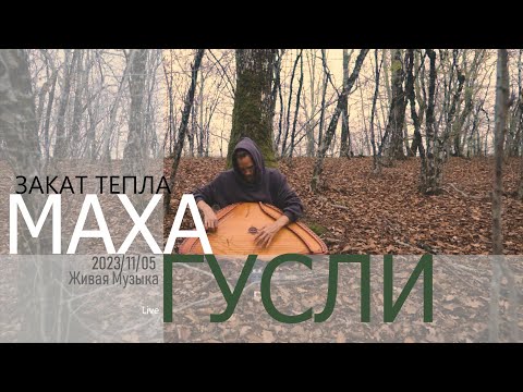 Видео: Закат тепла | МахаГусли | 2023-11-05 | Live