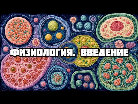 Видео: Введение. Клетка // Физиология (1 тема)