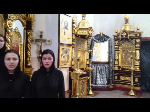 Видео: "Ты теперь монах..." Студенты ГДУ