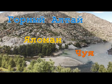 Видео: Горный Алтай  Яломан Чуя