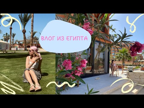 Видео: ВЛОГ: Египетское всё включено. Отель пять звёзд