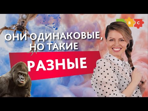 Видео: Я покрасила волосы и убила их или как не запутаться в омофонах