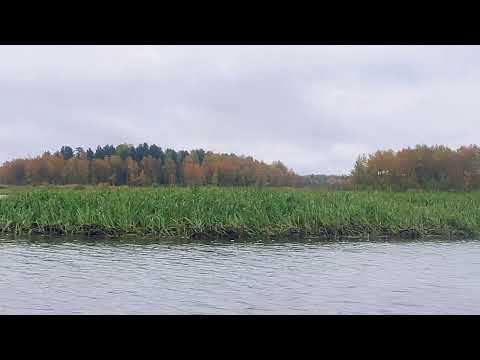 Видео: Прощальная рыбалка