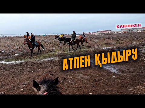 Видео: Атқа мініп серуендеу. Ат аяғы тайып құлап үстіндеге адамды сүйреді