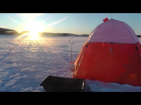 Видео: Рыбалка на Можайском водохранилище в -26!!!