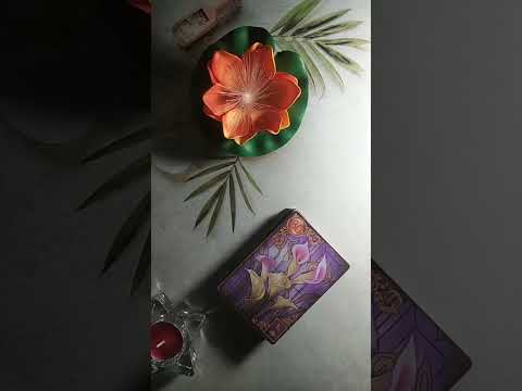 Видео: Белый кот. Таро-Ленорман. в прямом эфире!