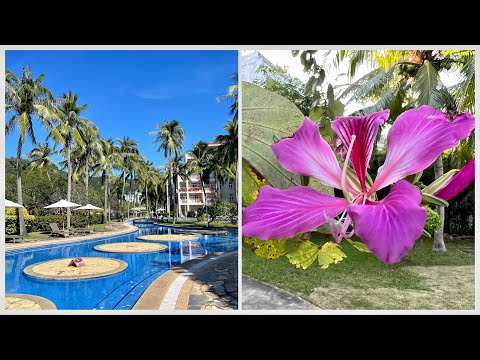 Видео: #18 Чем кормят на завтрак на Хайнане? Отель Golden Palm в Ялонг бэй. Красивый бассейн. Рынки еды.