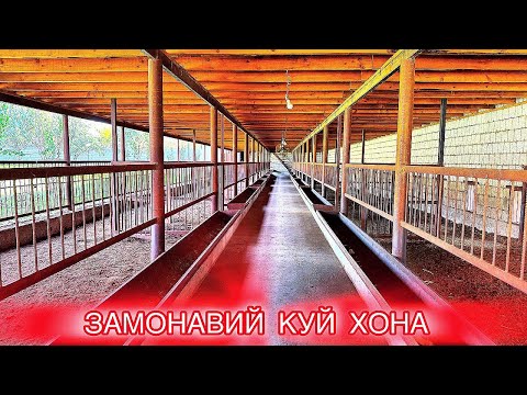 Видео: ТАЙЁР ПРОЕКТ КУЙ ХОНА #сурхондарёхисорикуйлари