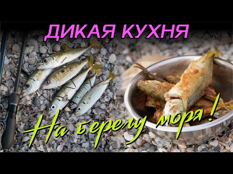 Видео: Дикая кухня. На берегу моря!