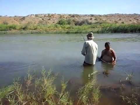 Видео: рыбалка хоразм