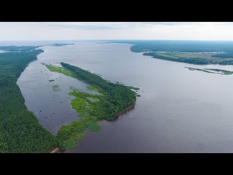 Видео: Биолог Кузнецов о Рыбинском водохранилище