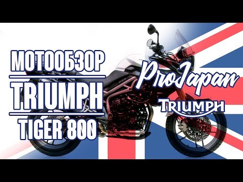 Видео: Triumph Tiger 800. Пробуем обыграть в мототуризм BMW F800GS