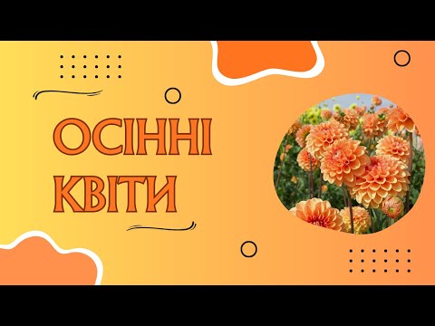 Видео: Розумнички № 29. Осінні квіти.