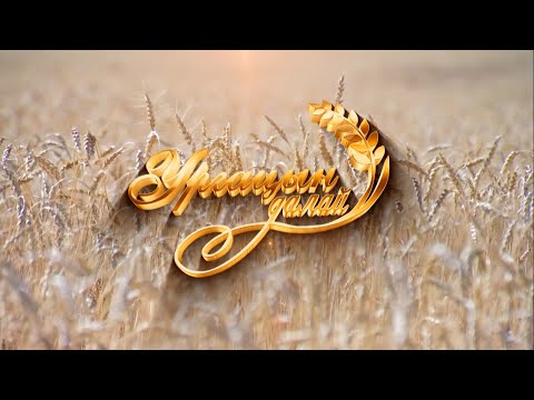 Видео: “Ургацын далай” #3 /Газар тариалангийн бүс нутгаас бэлтгэв/