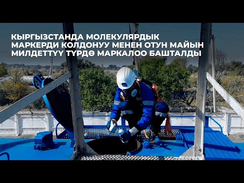 Видео: Кыргызстанда молекулярдык маркерди колдонуу менен отун майын милдеттүү түрдө маркалоо башталды