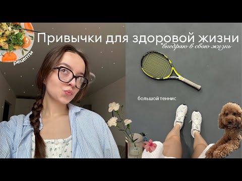 Видео: 7 привычек для девушек // советы по уборке, рецепты, большой теннис и много рецептов