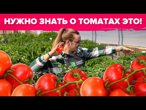 Видео: ВАЖНО ЗНАТЬ О ТОМАТАХ! Как ухаживать за детами и индетами?