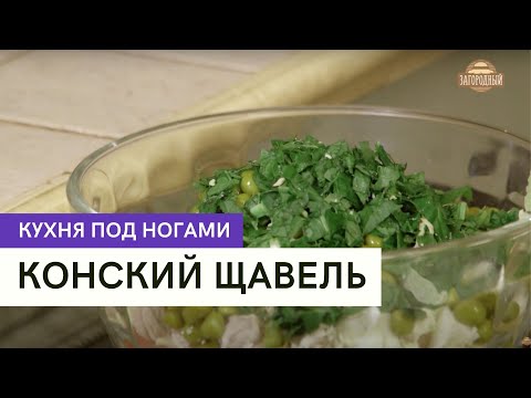 Видео: Конский щавель \ Кухня под ногами