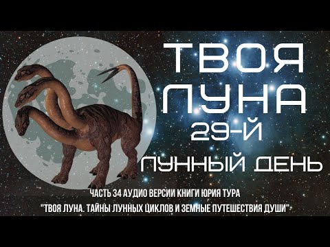 Видео: ТВОЯ ЛУНА. 29-й ЛУННЫЙ ДЕНЬ