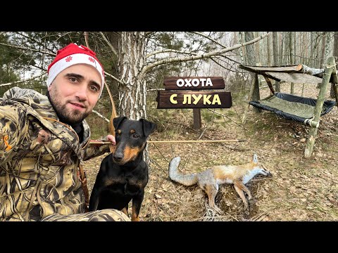 Видео: Охота с лука на фазанов. Новый год в лесу 24-Часа