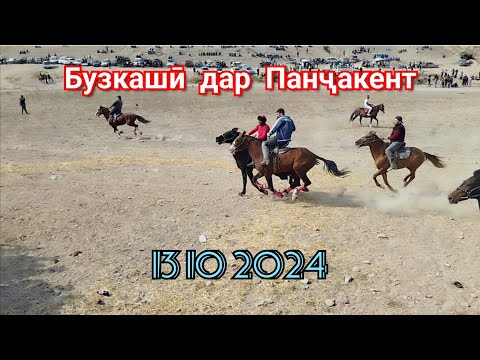 Видео: Бузкашӣ дар ш. Панҷакент   13 10 2024 қисми 1.