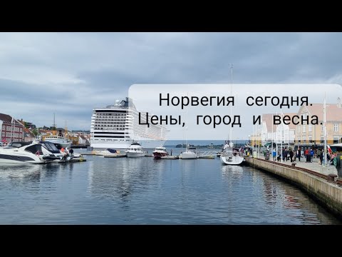 Видео: Сколько стоит вино в Норвегии? Влог с бродилками.