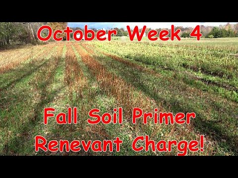 Видео: Октябрь, неделя 4. Строительство забора продолжается, плюс осенняя грунтовка почвы для лучшего ро...