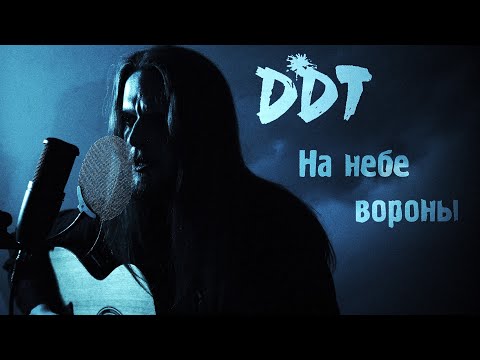 Видео: На небе вороны | ДДТ | Акустический Кавер